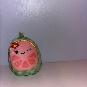 Watermelon Squishmallow Squishville 2’